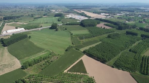 Aerial View of Green Fields and Farmland