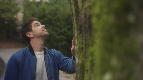 Homme regardant un arbre