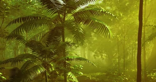 Lush Forest with Vibrant Greenery and Soft Sunlight Filtering Through Trees