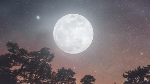 Amazing Scenery Of White Glowing Moon In Black Sky At Night