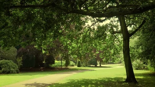 Curving Pathway Running Through Sunny City Park in United Kingdom Walking Trail Winding Across Green
