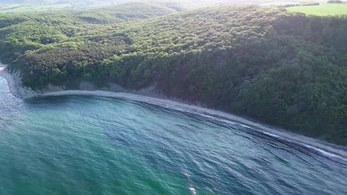 Beach Between a Ledge Covered with Vegetation and a Black Sea Under a Clear Blue Sky