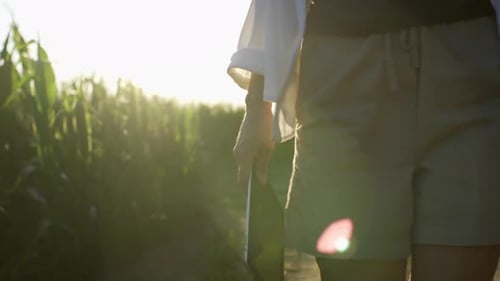 farmer woman carries tablet outdoors against the sun, farmer walks across the field carries a tablet