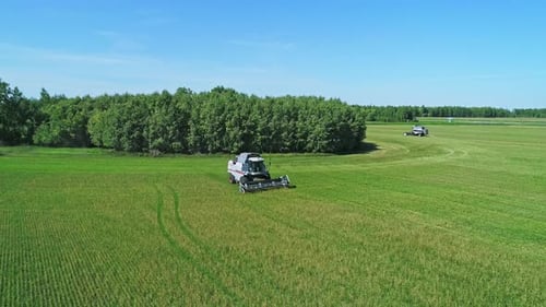 Aerial of Combines Working in the Field Harvesting Crops Gathering Season
