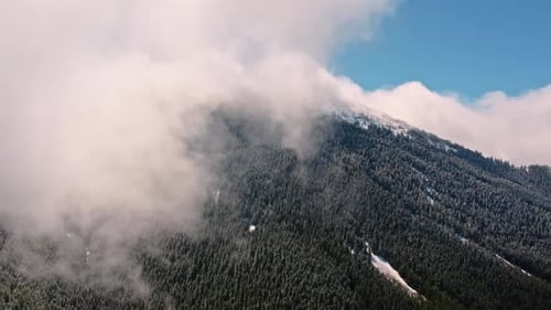 Snowy Forest Landscape