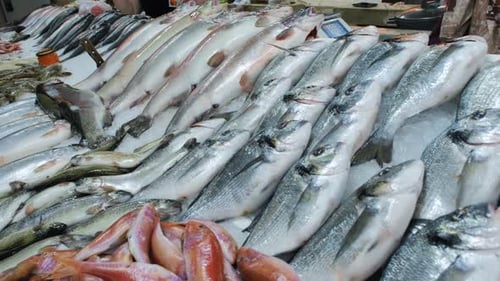 Nahaufnahme eines mit Fischen gefüllten Standes auf dem Markt
