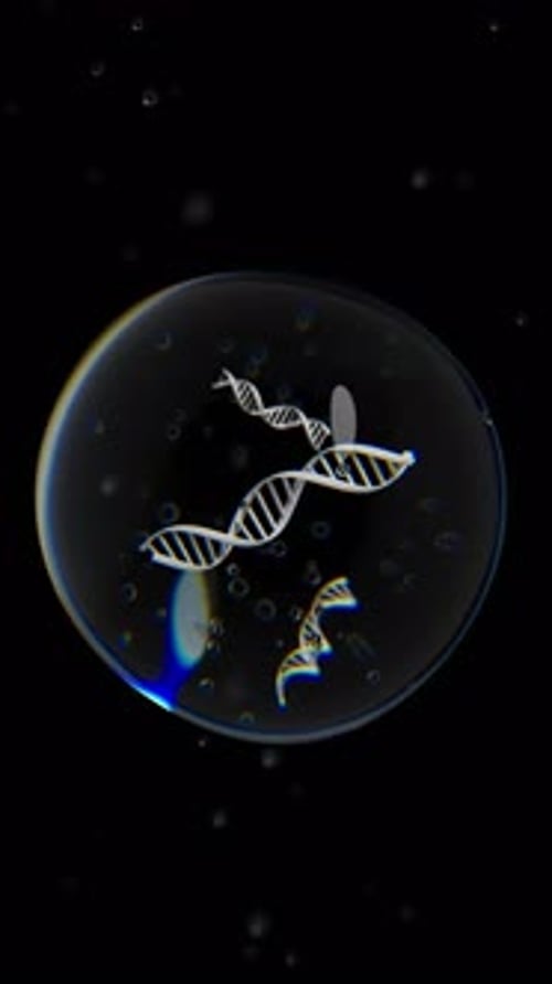 DNA Double Helix Strand Rotates in a Cell on Black Background Loop Animation Science and