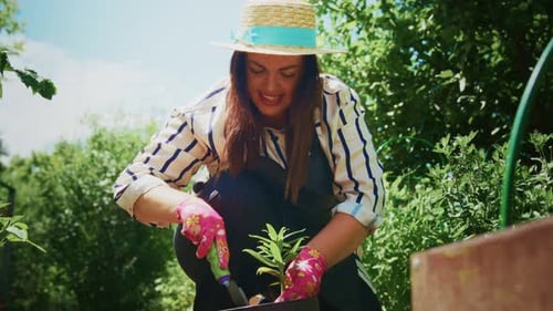 Woman Gardening with Gloves Planting a Young Plant in a Pot Surrounded By Lush Greenery