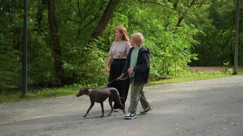 Boy Guiding Eager Dog Past Walking Woman On Sunny Path Dog Pulling Slightly On Leash Lively Pace