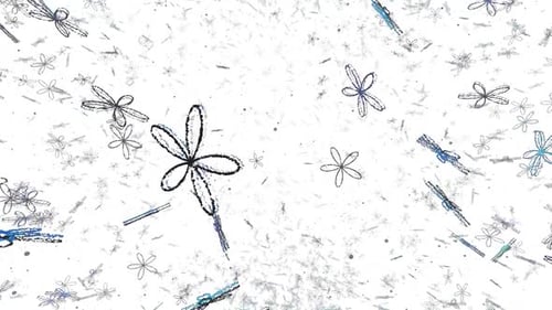 Black Flowers Falling With White Background Animation