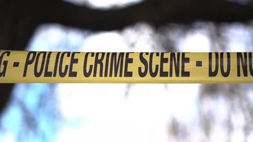 Police Crime Scene Tape Ribbon Under Treetop, Close Up