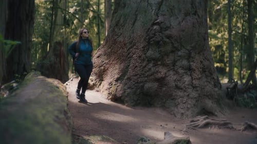 Young hiker woman walking down the path next to a big Douglass Fir tree trunk
