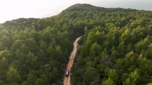 Aerial Tracking Shot Real Time of Car Riding Through Lush Green Trees Growing in Woods on Sunny Day