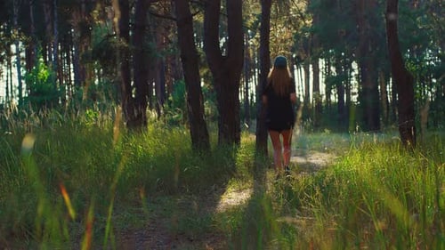 Young woman runner training in summer forest. The fitness girl is jogging outdoor