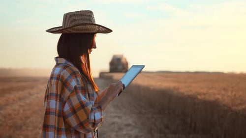 Woman Farmer in Wheat Field Holding Digital Tablet and Typing on Screen