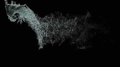 Abstract Fluid Human Figure Dissolve Reveal Animation