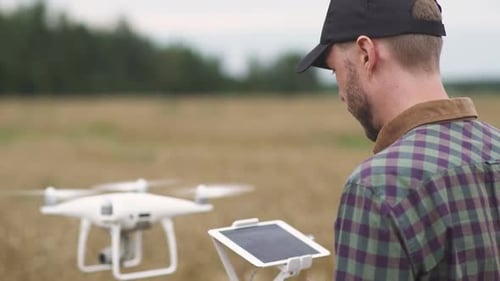 Countryside Farmer Control the Quadcopter While Standing in the Field of Rye Ecologist Analyzes the