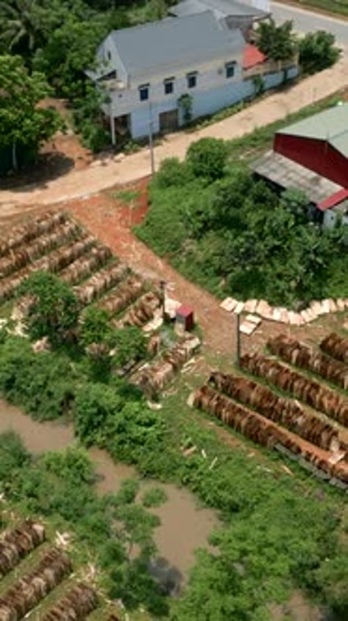 Small Path Near the Road Leads to the Wood Factory in a Village in Vietnam