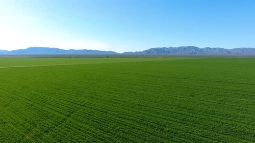 Wide drone shot of green farm field with mountains in the distance