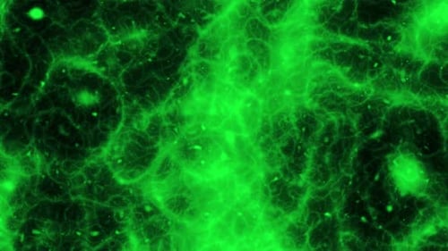 Abstract green microscope cell texture