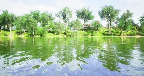 Lush Green Trees Reflect in a Serene River Setting During Bright Daylight