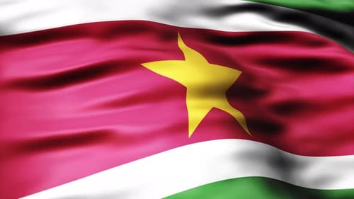 Dynamic Waving Flag Loop with Realistic Fabric