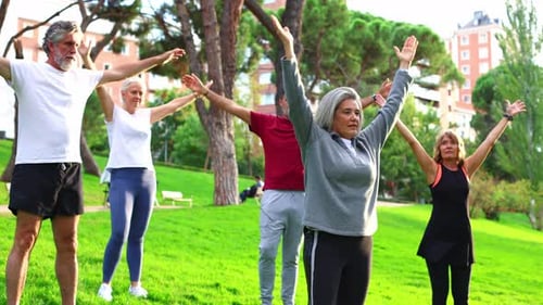 Senior Friends Practicing Yoga Tree Pose in a Park