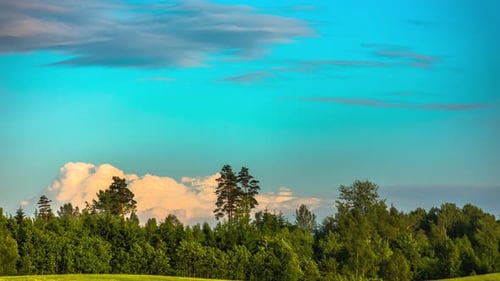 Panorama show of waving leaves of forest trees and flying grey and white clouds at blue sky - Time l