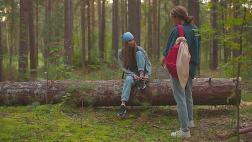 Friends Enjoying Hike in Peaceful Forest Pausing on Fallen Tree