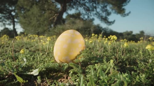 The Easter painted egg is hidden among the green grass and yellow flowers. Dolly slider macro zoom.