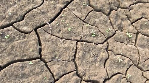 Top down closeup pan of cracked dry soil, drought desertification concept
