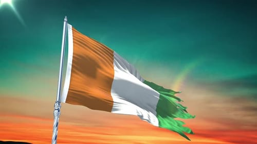 Realistic Tattered National Flag Waving Loop