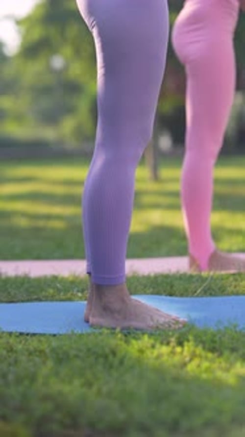 Women Doing Yoga Together in Sunny Urban Park