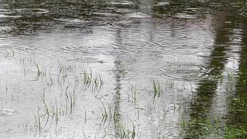 Gotas de agua, lluvia sobre el lago, río, superficie, estanque, naturaleza, clima húmedo al aire libre