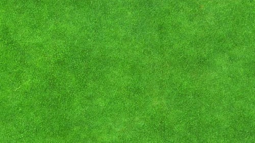 Aerial drone view of a lush green lawn.