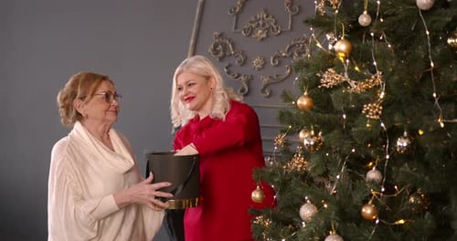 Adult Woman with Mother Decorating Christmas Tree Together