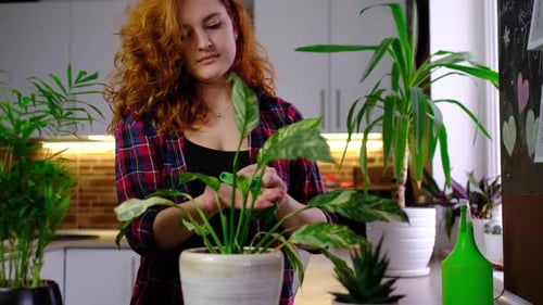 Woman Pruning Potted Plant in Bright Kitchen