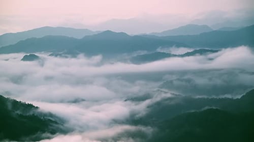 Sea of clouds floating above forested mountain ridges in early morning light.