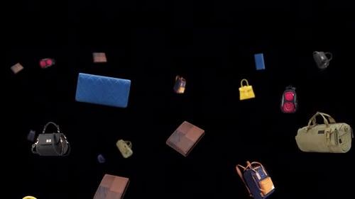Moving animation of bag and wallets. Transparent background and loop video