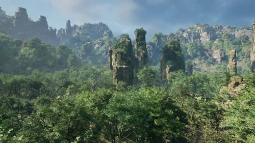 A Lush Green Forest with a Dense Canopy of Trees