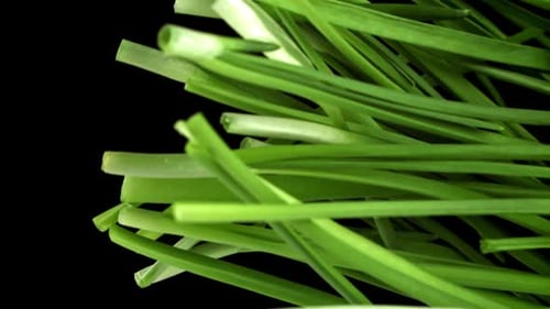 Green Onions Fly Up and Fall Down on a Black Background Filmed on a Highspeed Camera at 1000 Fps