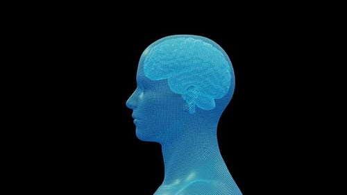 Cabeza y hombros humanos con estructura metálica azul sobre fondo negro
