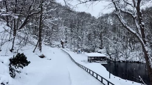 Tranquil Snowy Path in Nakajima Park, Sapporo during Winter