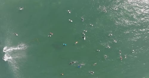 a group of people surfing in the ocean