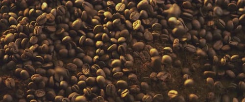 Kaffeebohnen springen