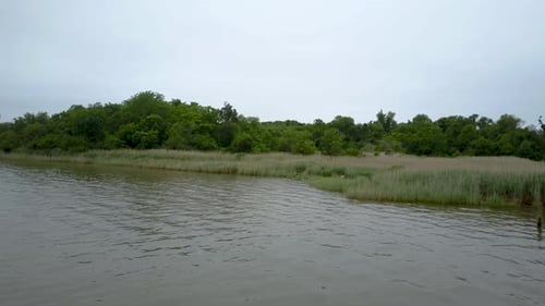 Peaceful River Landscape With Green Trees Aerial View