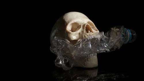 Skull With Plastic Bottle on Reflective Black Background