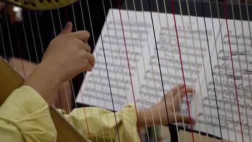 Harpist Plays Beautiful Music on Stringed Instrument