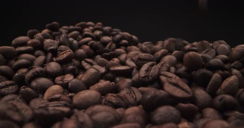 footage of falling coffee beans on black background. Real time