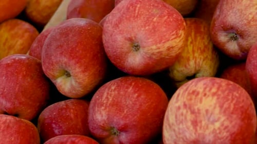 manzanas orgánicas frescas de la granja de cerca desde diferentes ángulos